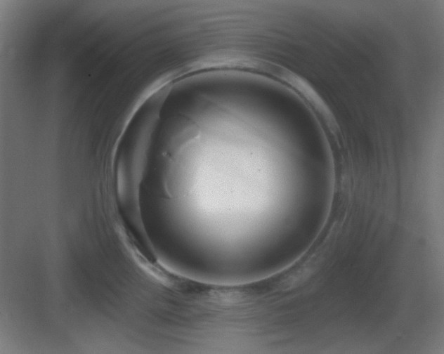 X0000083551242200702091050