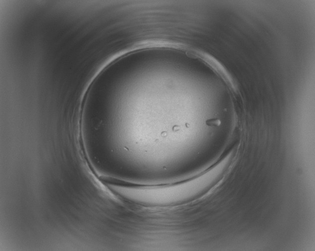 X0000083551244200702091050