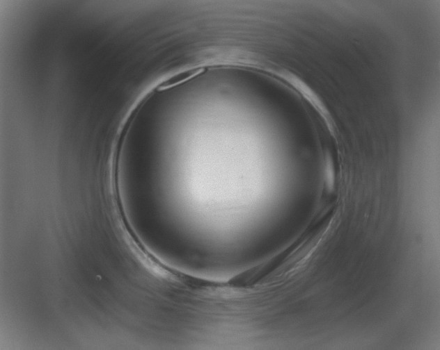 X0000083551246200702091050