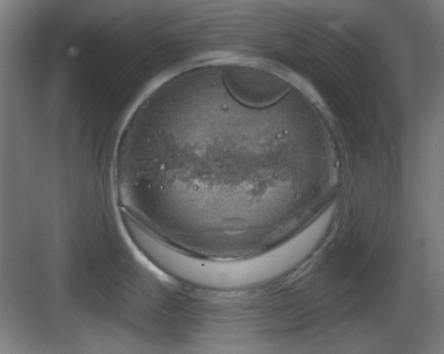 X0000083551247200702091050