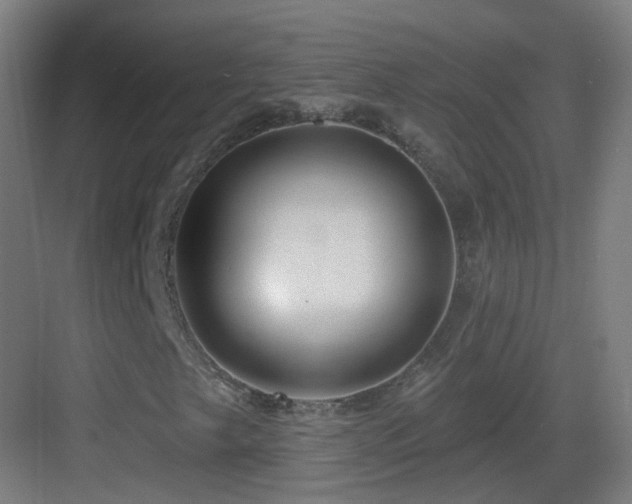 X0000083551249200702091049