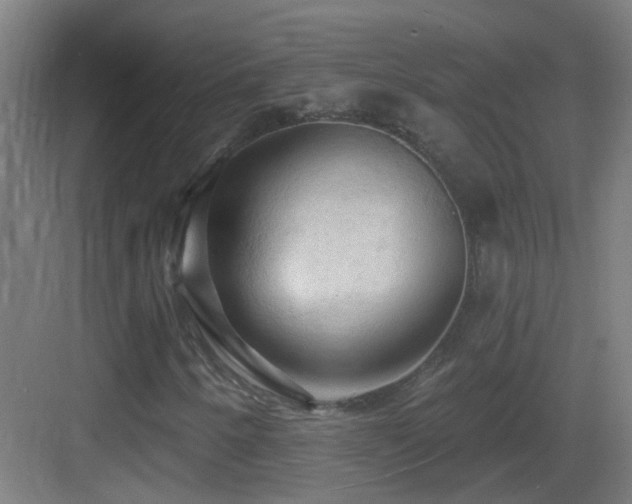 X0000083551250200702091049