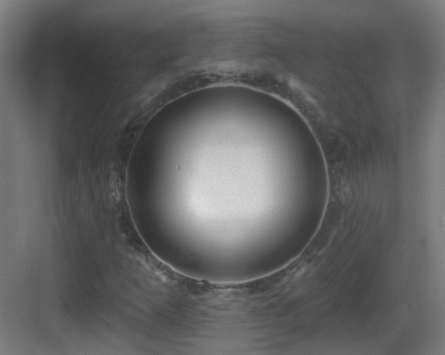 X0000083551253200702091049