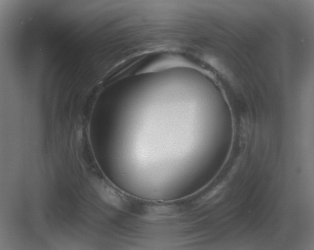 X0000083551257200702091049