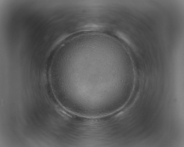 X0000083551259200702091049