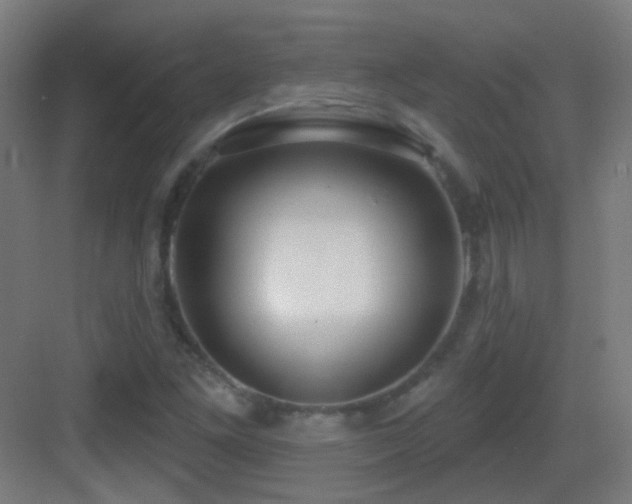 X0000083551261200702091049