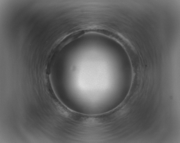 X0000083551265200702091049
