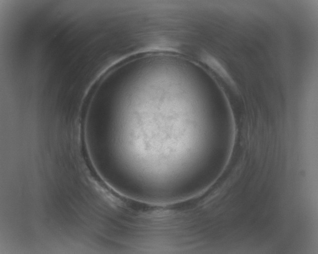 X0000083551268200702091049