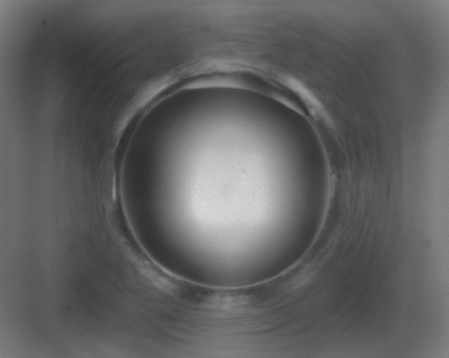 X0000083551269200702091049