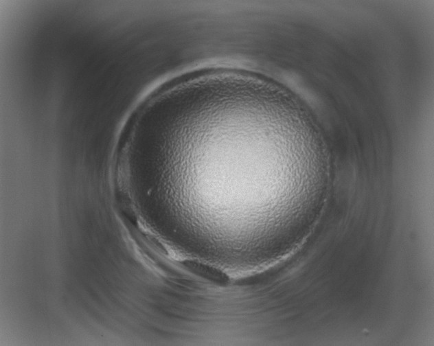 X0000083551272200702091049