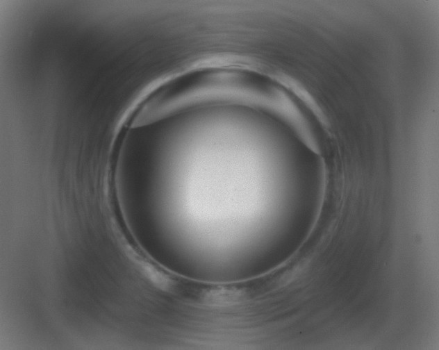 X0000083551277200702091049