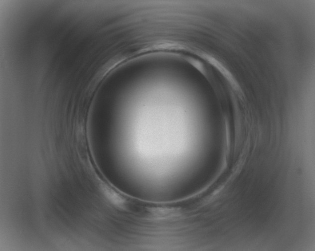 X0000083551281200702091049