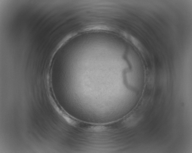 X0000083551282200702091049