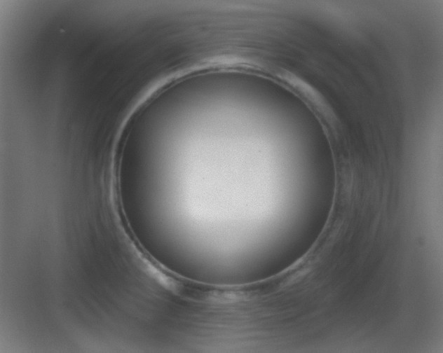 X0000083551286200702091049