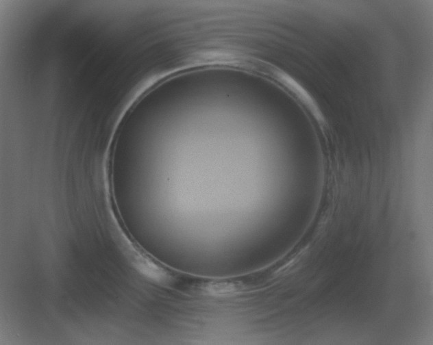 X0000083551291200702091049