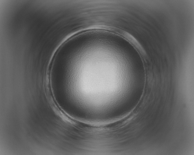 X0000083551292200702091049