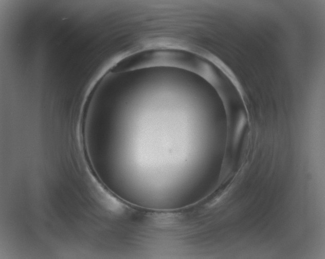X0000083551293200702091049