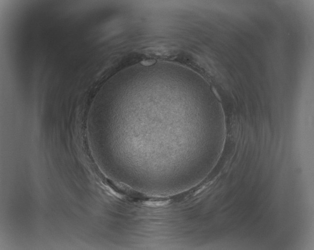 X0000083551297200702091048