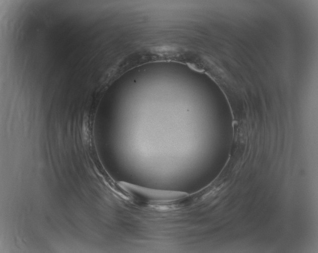 X0000083551298200702091048