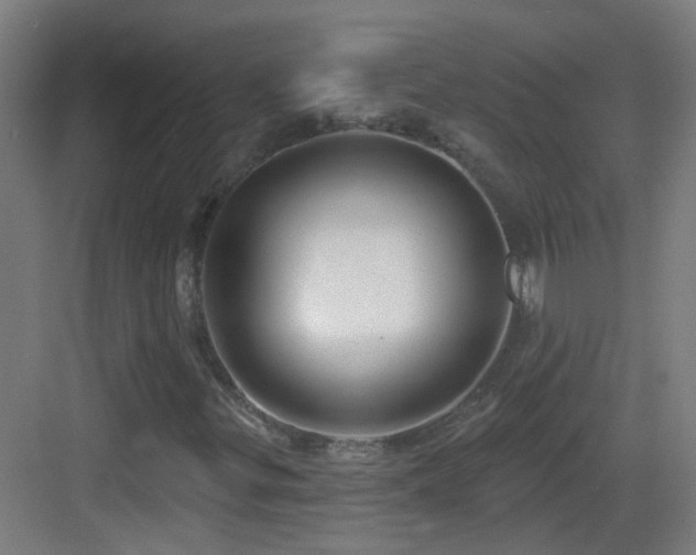X0000083551299200702091048