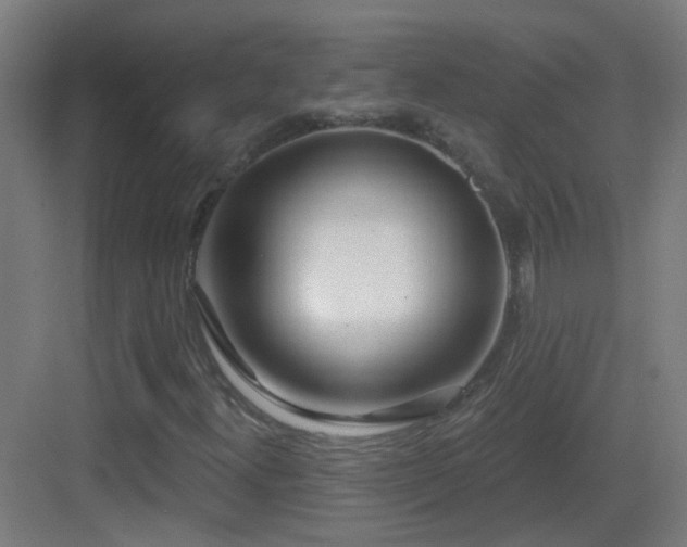X0000083551300200702091048