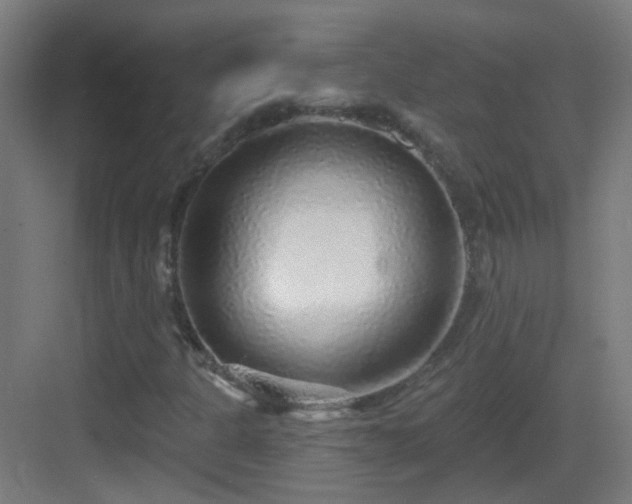 X0000083551301200702091048