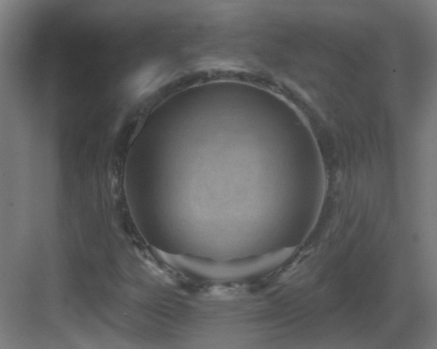 X0000083551303200702091048