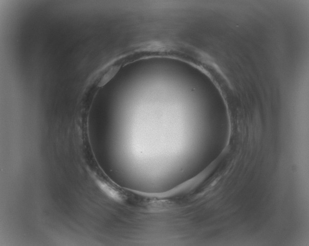 X0000083551304200702091048