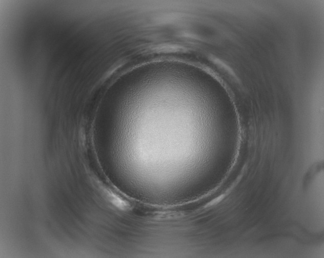 X0000083551305200702091048