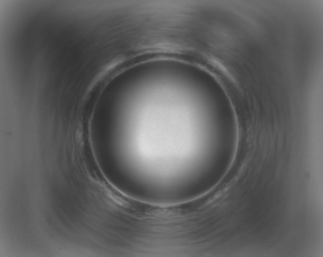 X0000083551307200702091048