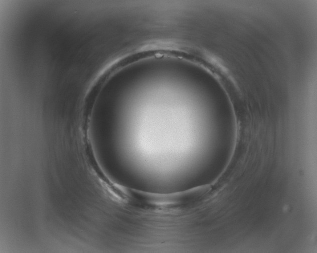 X0000083551312200702091048