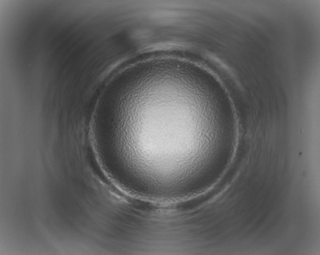 X0000083551313200702091048