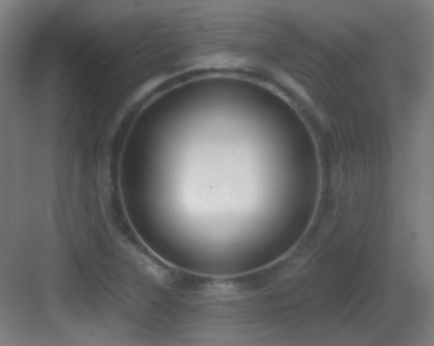 X0000083551315200702091048