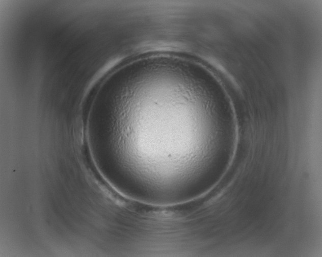 X0000083551317200702091048