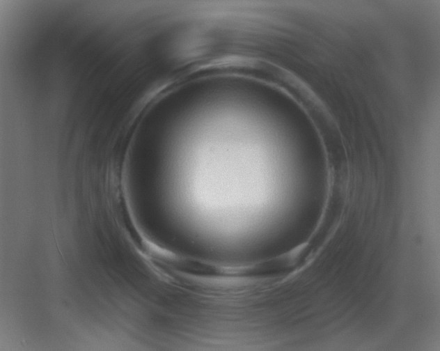 X0000083551321200702091048