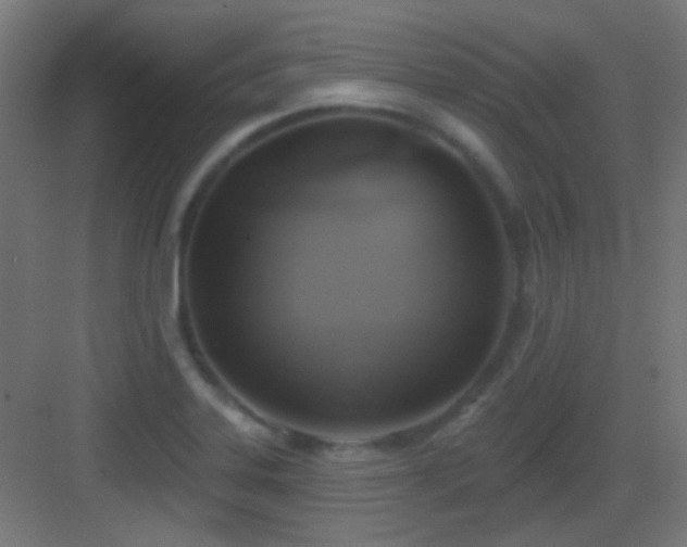 X0000083551323200702091048