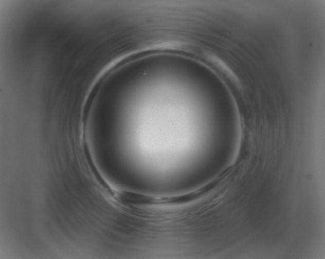 X0000083551324200702091048