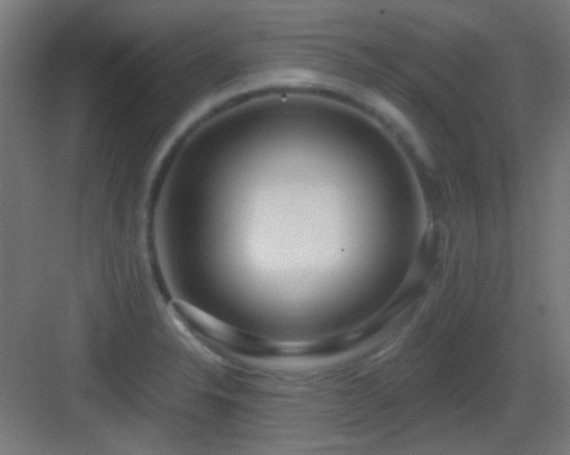 X0000083551326200702091048