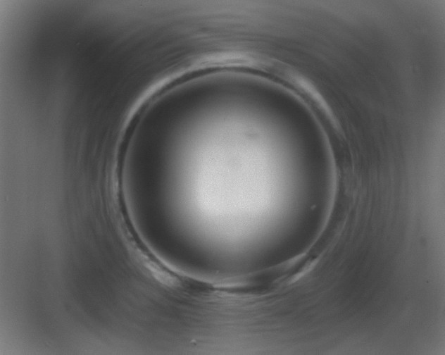 X0000083551328200702091048