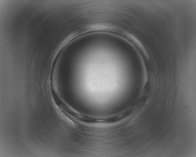 X0000083551330200702091048
