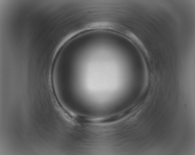 X0000083551336200702091048