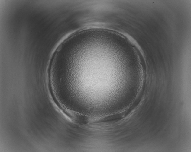 X0000083551341200702091048