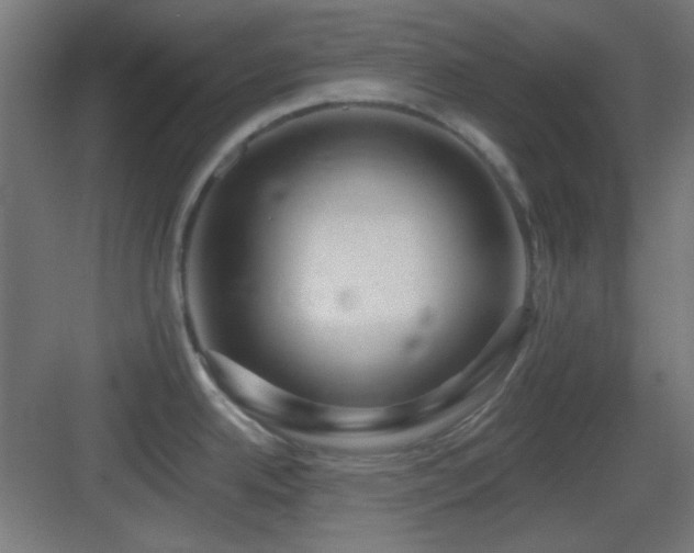 X0000083551342200702091048