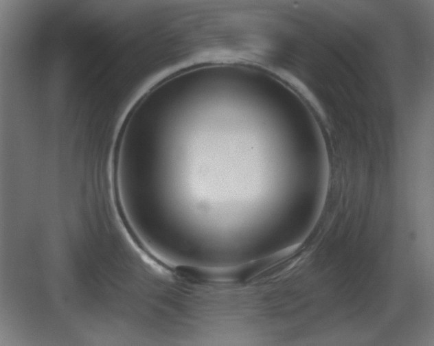 X0000083551343200702091049