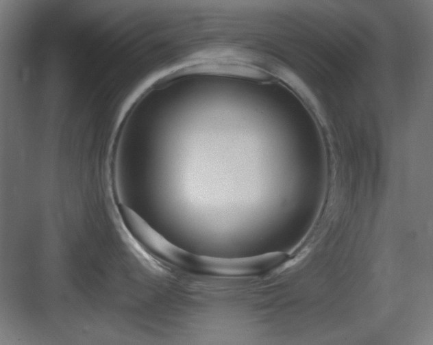 X0000083551344200702091049