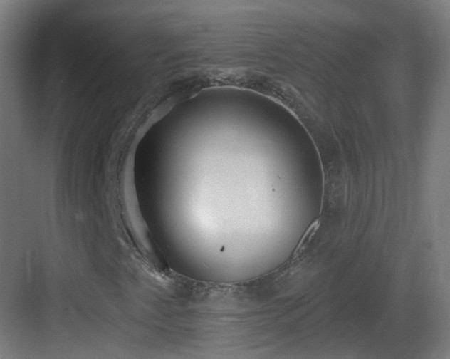 X0000083551345200702091048