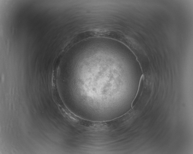 X0000083551346200702091048