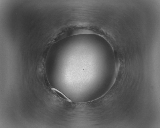 X0000083551349200702091048