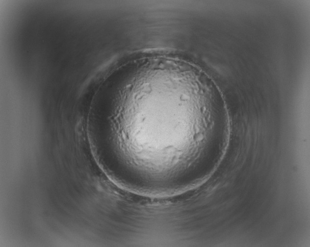 X0000083551351200702091048