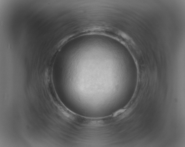 X0000083551353200702091048
